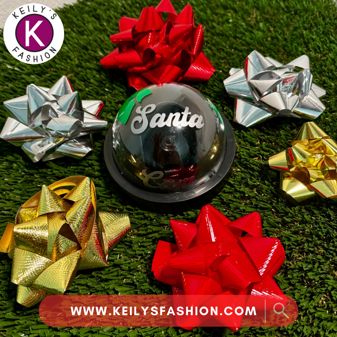 SANTA CAM